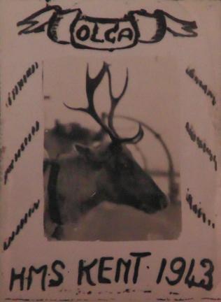 Olga the reindeer