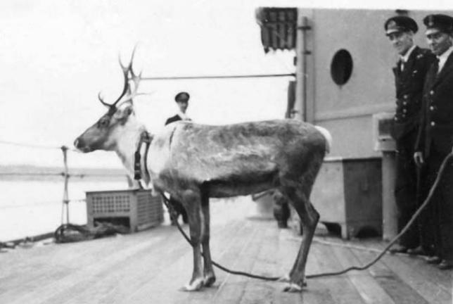 Olga on HMS Kent
