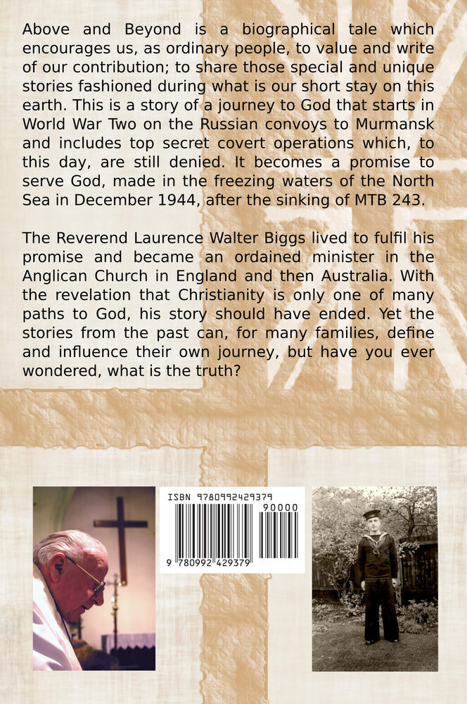 Back cover of Above and Beyond by Mark Biggs