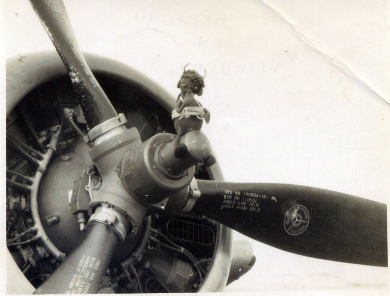 813 Squadron mascot on prop
